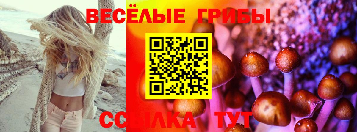 Топки  Псилоцибиновые грибы прущие грибы  Вход с VPN 
