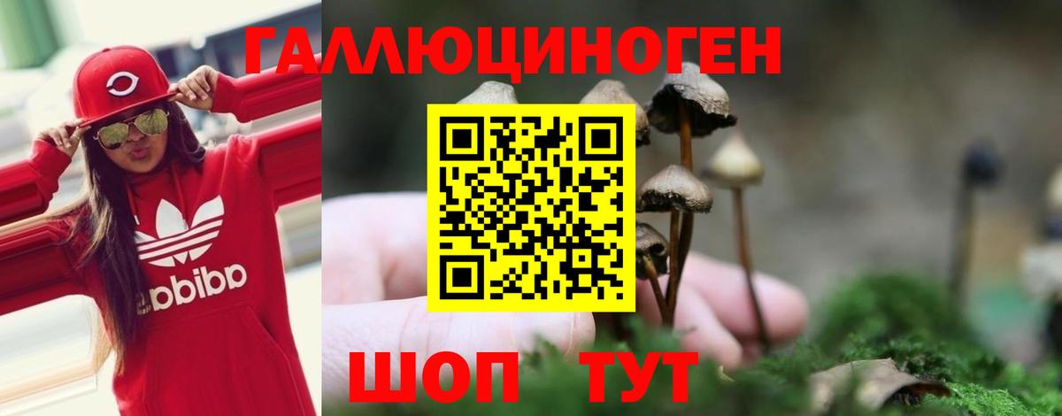 Псилоцибиновые грибы MAGIC MUSHROOMS Топки